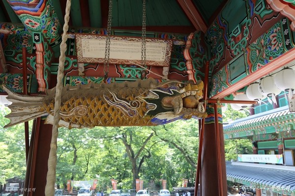Chùm ảnh mõ Kình Ngư Hàn Quốc