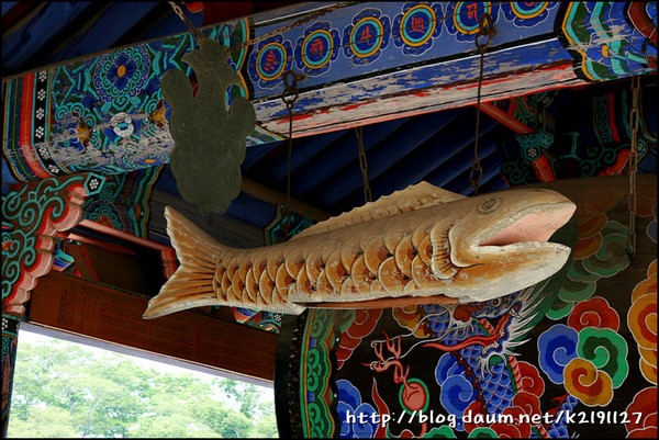 Chùm ảnh mõ Kình Ngư Hàn Quốc