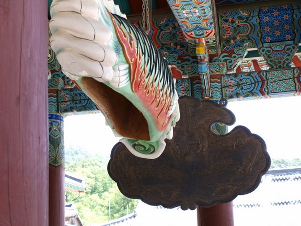 Chùm ảnh mõ Kình Ngư Hàn Quốc