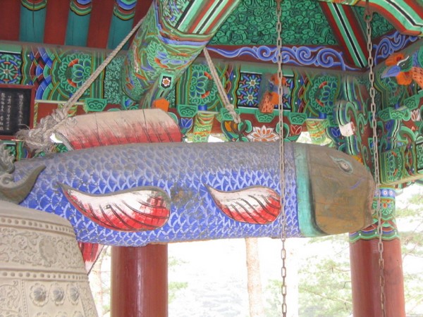 Chùm ảnh mõ Kình Ngư Hàn Quốc