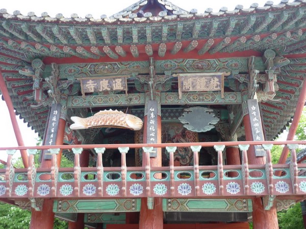 Chùm ảnh mõ Kình Ngư Hàn Quốc