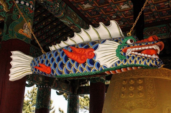 Chùm ảnh mõ Kình Ngư Hàn Quốc