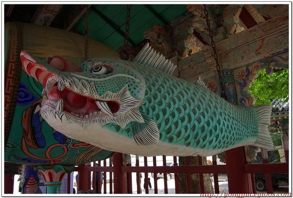 Chùm ảnh mõ Kình Ngư Hàn Quốc