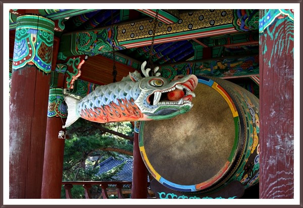 Chùm ảnh mõ Kình Ngư Hàn Quốc