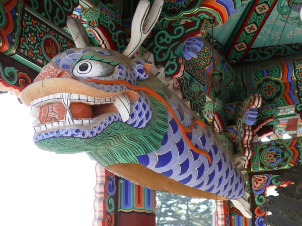 Chùm ảnh mõ Kình Ngư Hàn Quốc