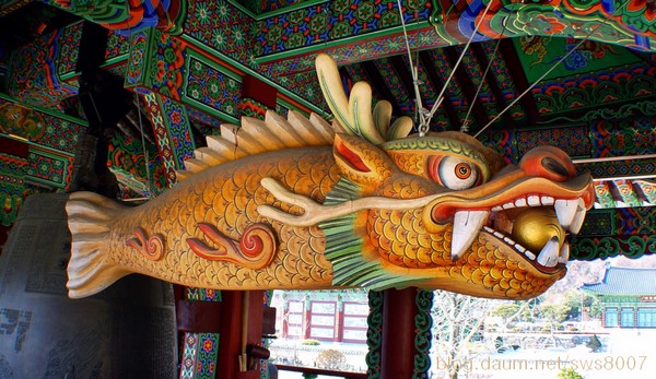 Chùm ảnh mõ Kình Ngư Hàn Quốc