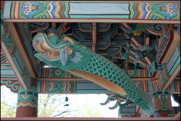 Chùm ảnh mõ Kình Ngư Hàn Quốc