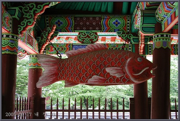 Chùm ảnh mõ Kình Ngư Hàn Quốc