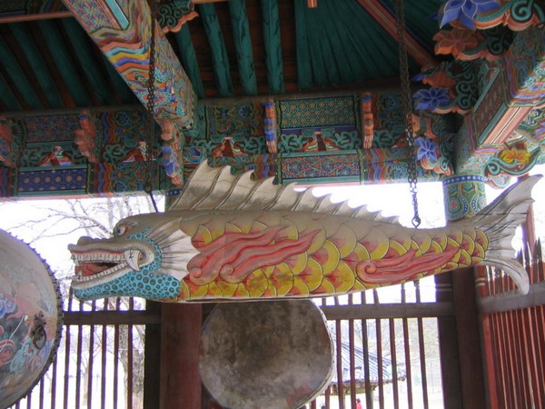 Chùm ảnh mõ Kình Ngư Hàn Quốc