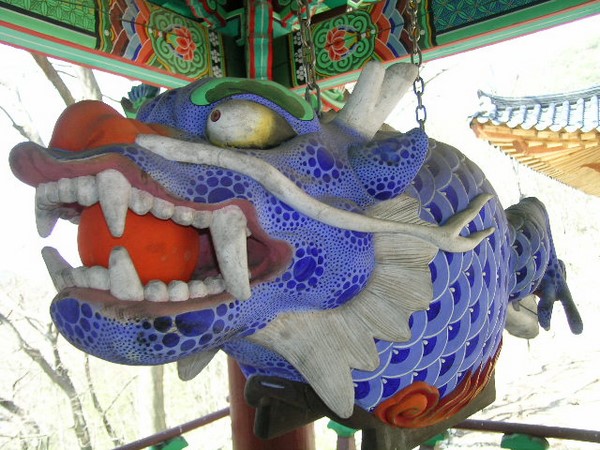 Chùm ảnh mõ Kình Ngư Hàn Quốc
