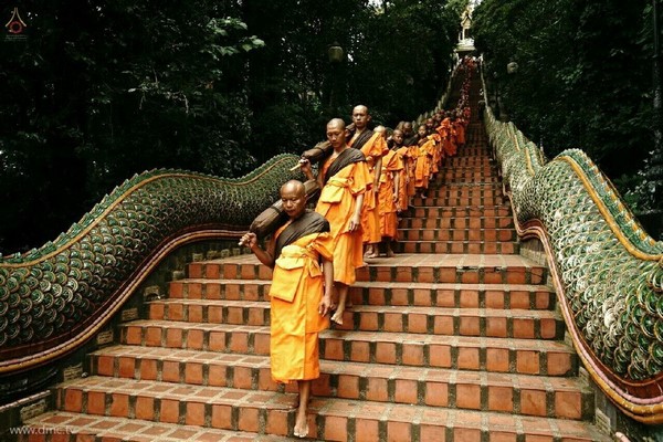 Thái Lan: Chùm ảnh chư Tăng diễu hành 11 km
