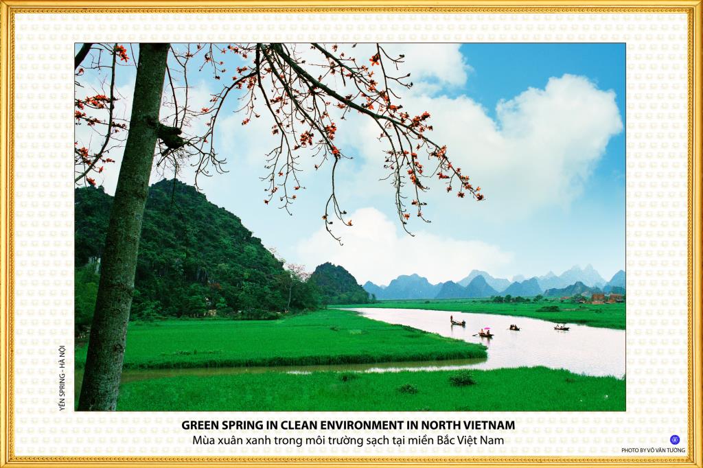 19 Ảnh Phật Giáo Việt Nam và Vấn Đề Bảo Vệ Môi Trường