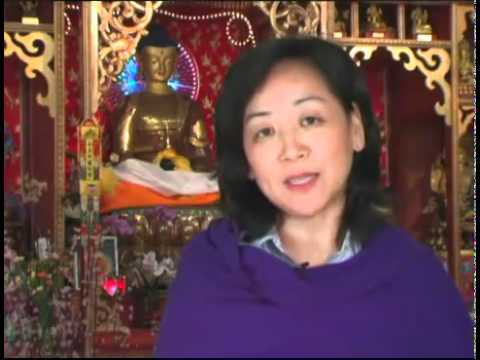 Chính phủ Tây Tạng lưu vong muốn hệ sinh thái được bảo vệ