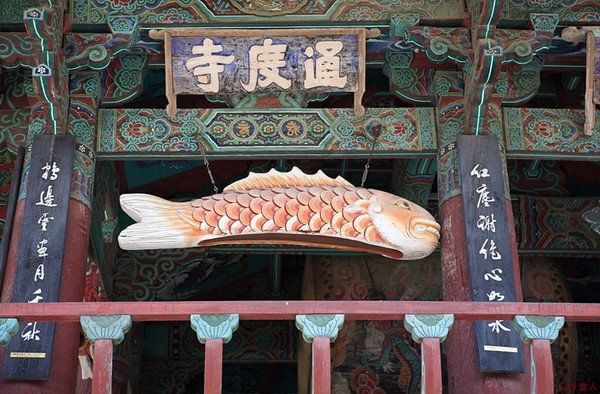 Chùm ảnh mõ Kình Ngư Hàn Quốc