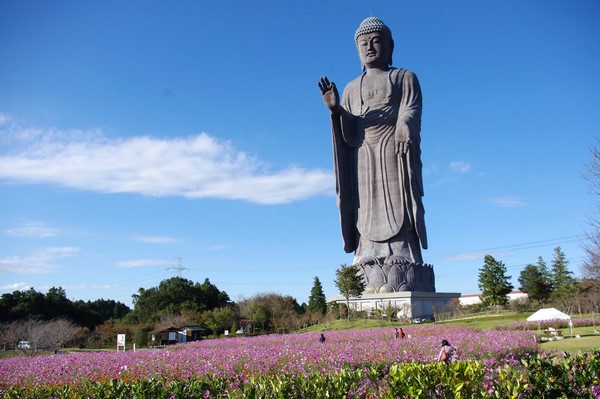 Chùm ảnh Đại tượng Phật A Di Đà Japan một trong những pho tượng lớn nhất thế giới
