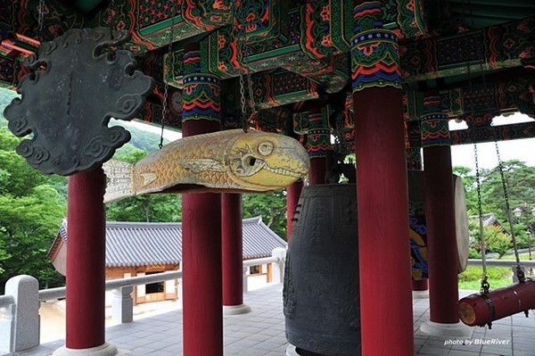 Chùm ảnh mõ Kình Ngư Hàn Quốc
