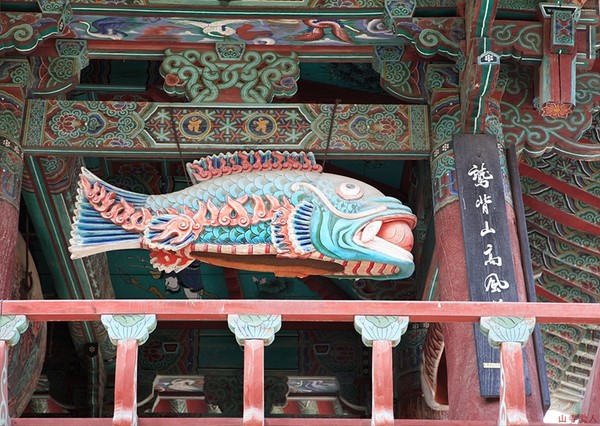 Chùm ảnh mõ Kình Ngư Hàn Quốc