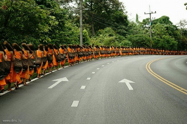 Thái Lan: Chùm ảnh chư Tăng diễu hành 11 km