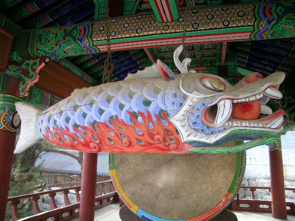 Chùm ảnh mõ Kình Ngư Hàn Quốc
