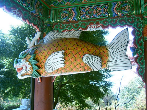 Chùm ảnh mõ Kình Ngư Hàn Quốc