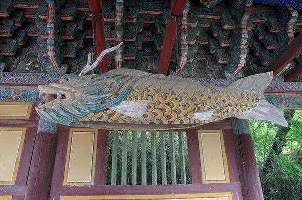 Chùm ảnh mõ Kình Ngư Hàn Quốc
