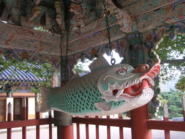Chùm ảnh mõ Kình Ngư Hàn Quốc