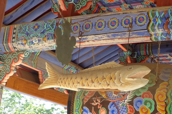 Chùm ảnh mõ Kình Ngư Hàn Quốc