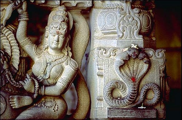 Ấn Độ: Ngôi Đại Già lam Cổ Tự Ajanta nghìn năm tuyệt tác trong hang động