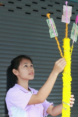 Thái Lan: Sau 3 tháng An Cư ,chư Tăng Tự tứ, diễu hành khất thực  tại huyện Khun Yuam, tỉnh Mae Hong Son