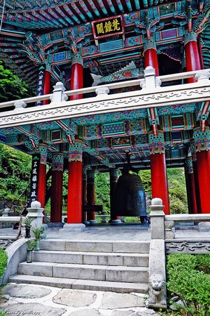 Chùm ảnh mõ Kình Ngư Hàn Quốc
