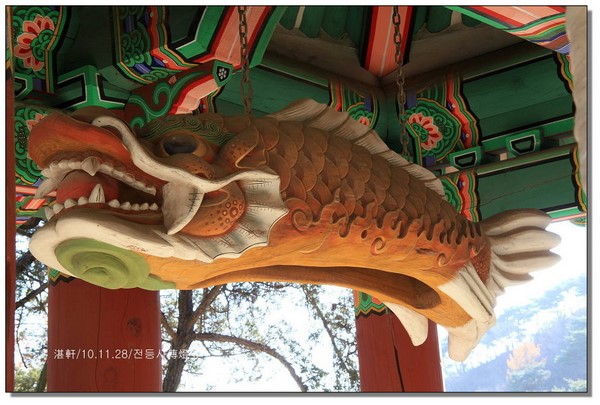 Chùm ảnh mõ Kình Ngư Hàn Quốc