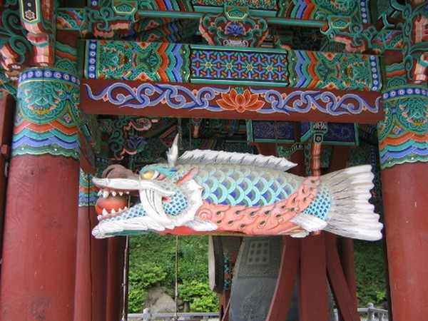 Chùm ảnh mõ Kình Ngư Hàn Quốc