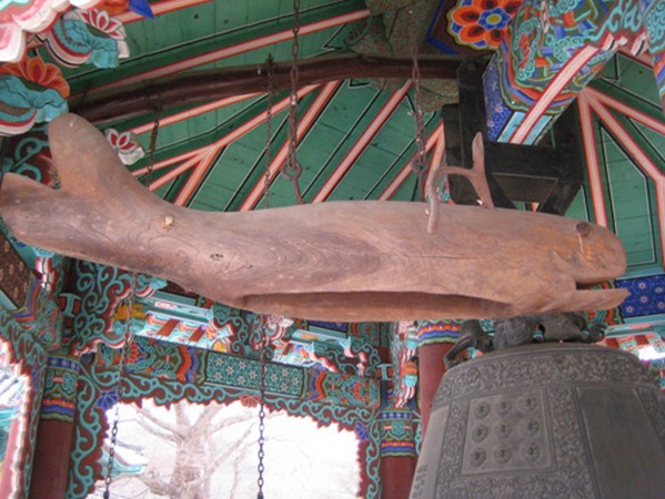 Chùm ảnh mõ Kình Ngư Hàn Quốc