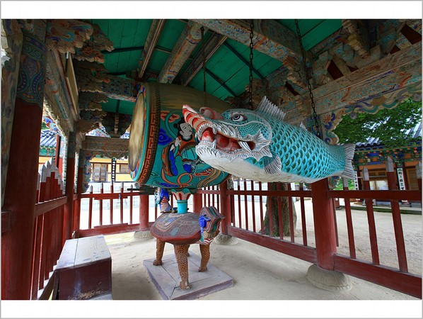 Chùm ảnh mõ Kình Ngư Hàn Quốc