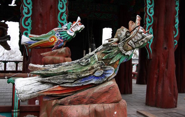 Chùm ảnh mõ Kình Ngư Hàn Quốc
