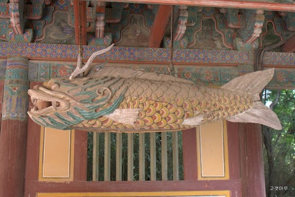 Chùm ảnh mõ Kình Ngư Hàn Quốc