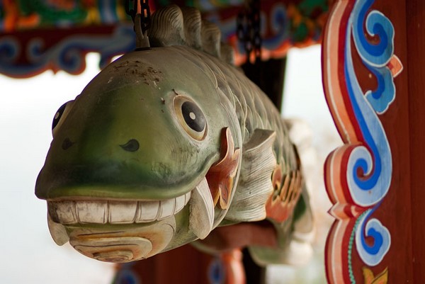 Chùm ảnh mõ Kình Ngư Hàn Quốc
