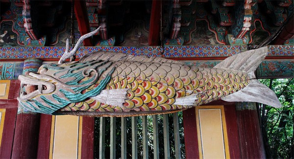 Chùm ảnh mõ Kình Ngư Hàn Quốc