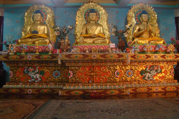 Ấn Độ: Chùm ảnh Trung tâm Viên Giác nơi tu tập lý tưởng