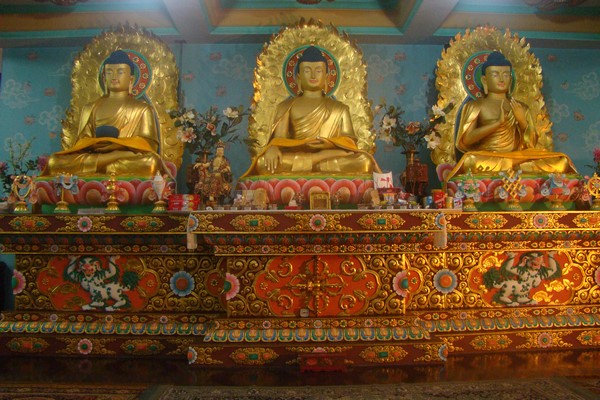 Ấn Độ: Chùm ảnh Trung tâm Viên Giác nơi tu tập lý tưởng