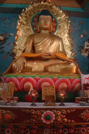 Ấn Độ: Chùm ảnh Trung tâm Viên Giác nơi tu tập lý tưởng