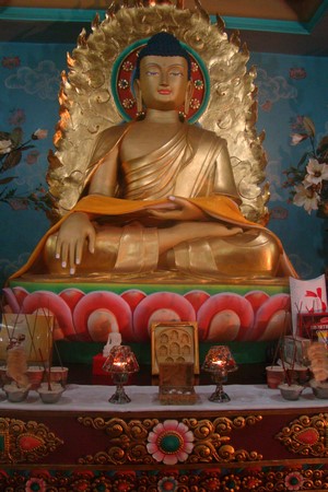 Ấn Độ: Chùm ảnh Trung tâm Viên Giác nơi tu tập lý tưởng