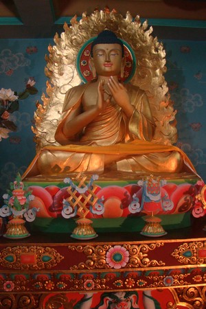 Ấn Độ: Chùm ảnh Trung tâm Viên Giác nơi tu tập lý tưởng