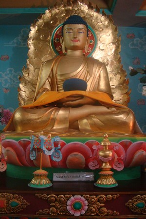 Ấn Độ: Chùm ảnh Trung tâm Viên Giác nơi tu tập lý tưởng