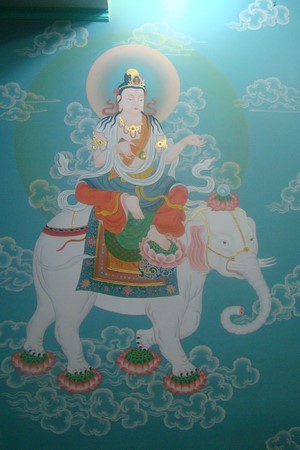 Ấn Độ: Chùm ảnh Trung tâm Viên Giác nơi tu tập lý tưởng