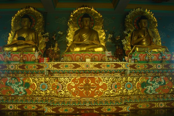 Ấn Độ: Chùm ảnh Trung tâm Viên Giác nơi tu tập lý tưởng