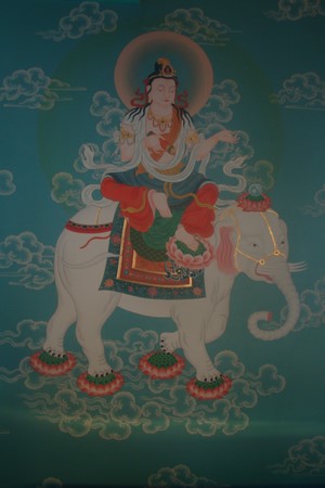 Ấn Độ: Chùm ảnh Trung tâm Viên Giác nơi tu tập lý tưởng