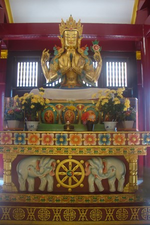 Ấn Độ: Chùm ảnh Trung tâm Viên Giác nơi tu tập lý tưởng