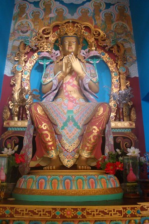 Ấn Độ: Chùm ảnh Trung tâm Viên Giác nơi tu tập lý tưởng