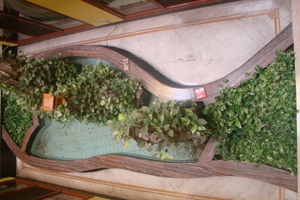 Ấn Độ: Chùm ảnh Trung tâm Viên Giác nơi tu tập lý tưởng